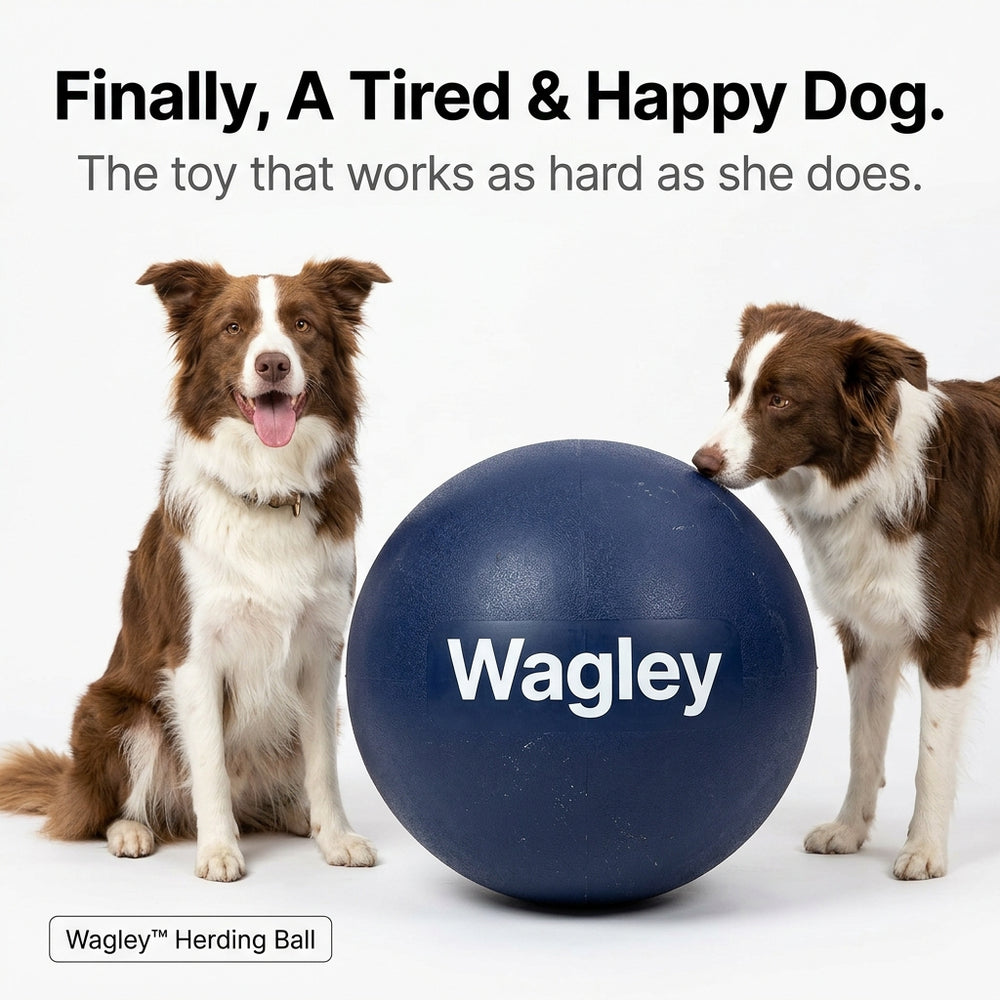 Wagley Herding Ball Benefits