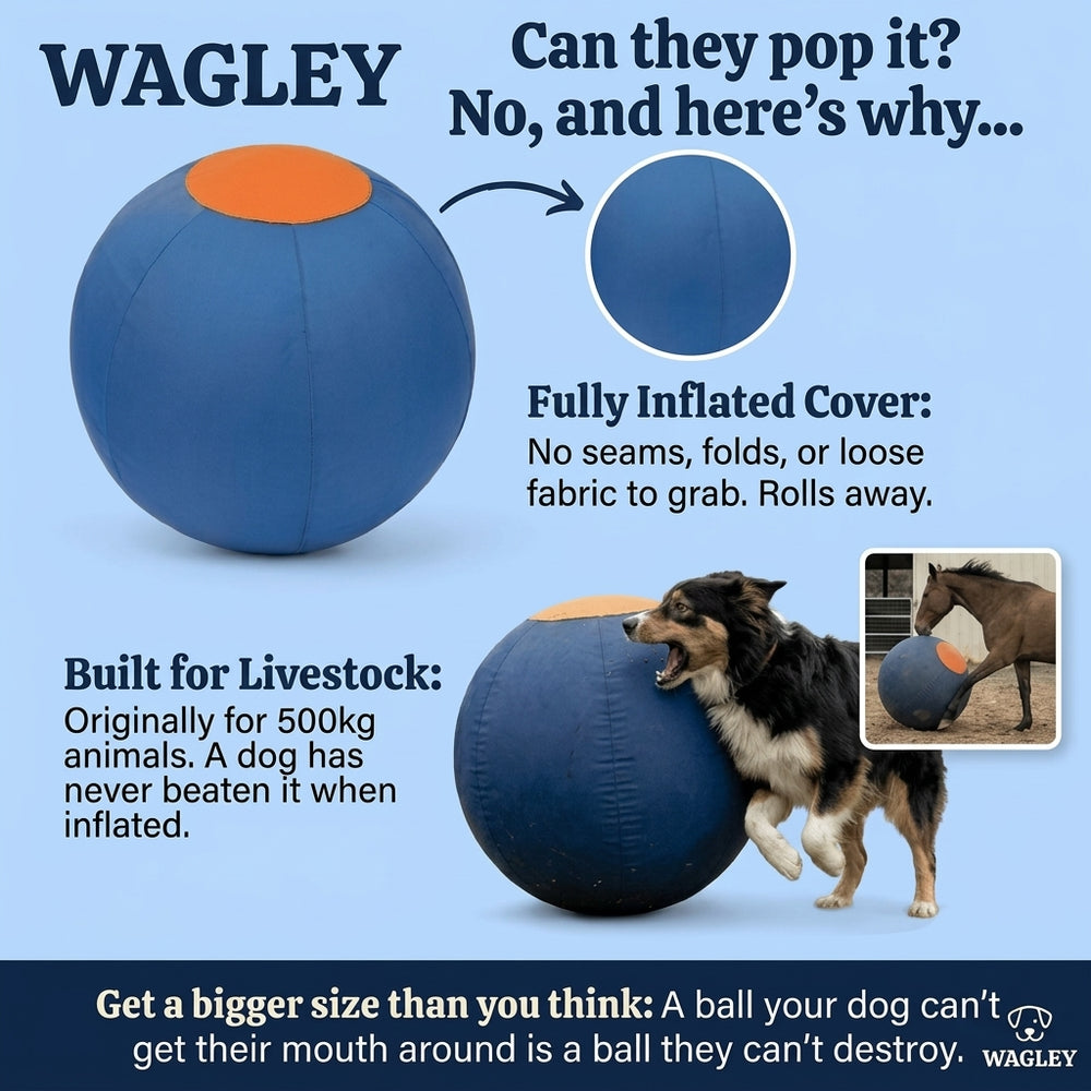Puncture Proof Heavy Duty Bladder