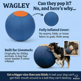 Puncture Proof Heavy Duty Bladder