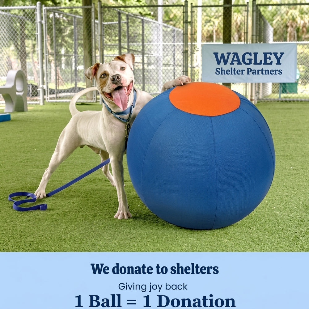 1 Ball = 1 Shelter Donation