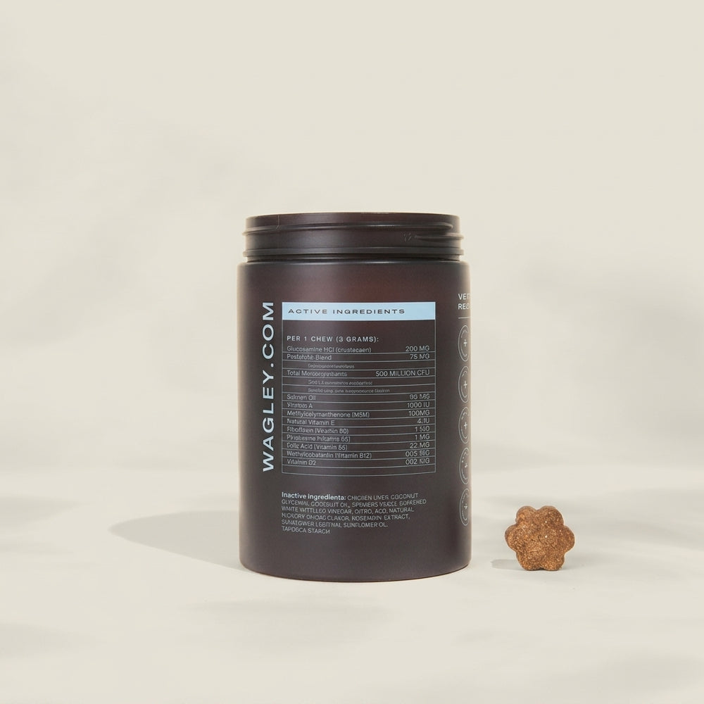 Dental Stick Active Ingredients