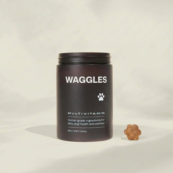 Wagley Daily Multivitamin Jar