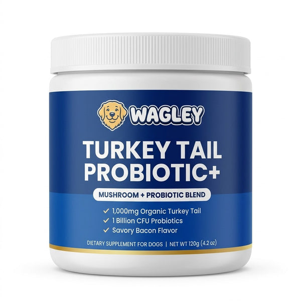 Wagley Turkey Tail Probiotic+ jar