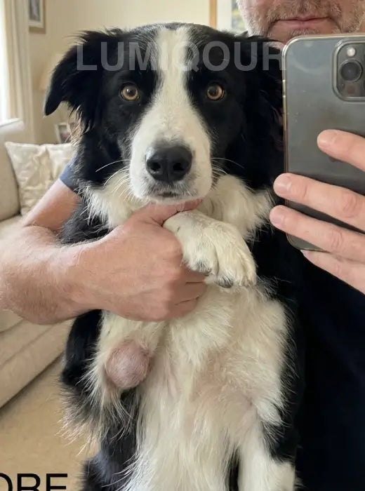 Luna Day 1 Protruding Shoulder Lump