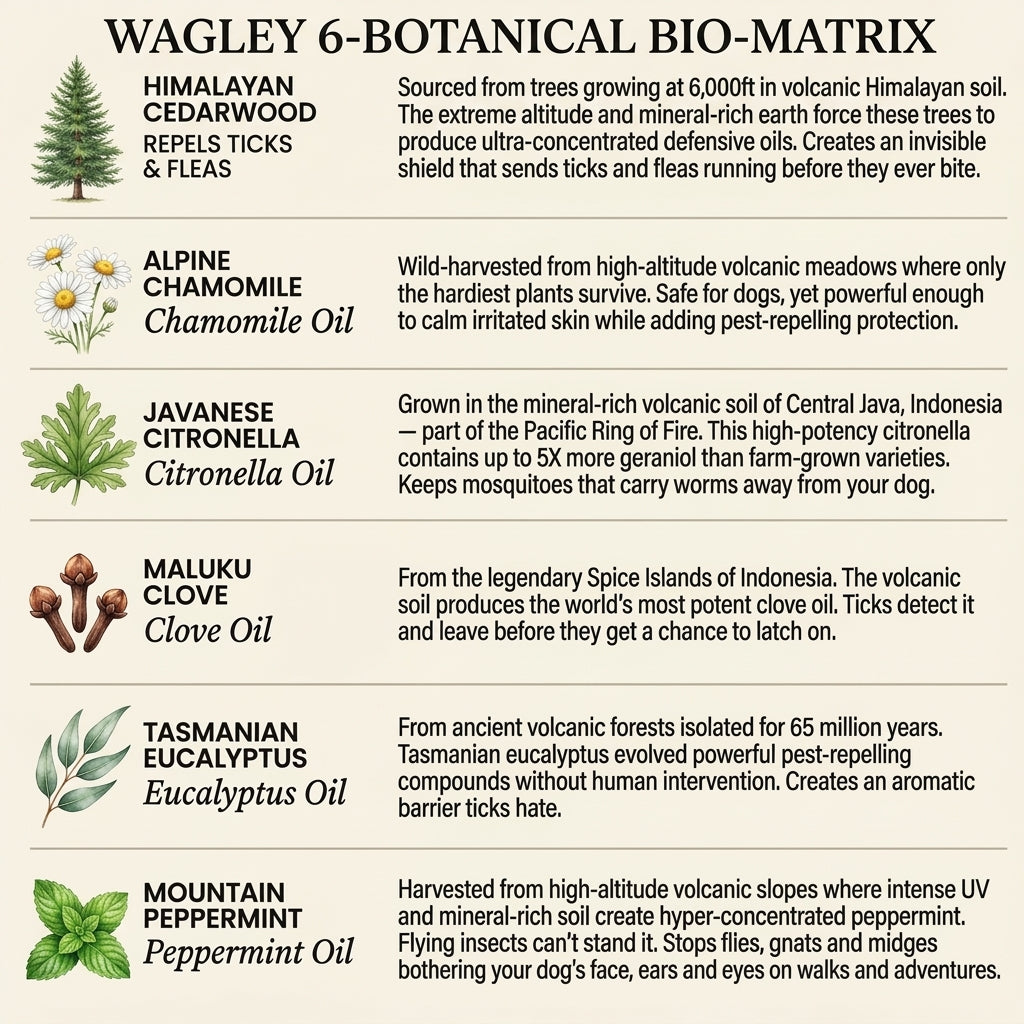6-Botanical Bio-Matrix Formula