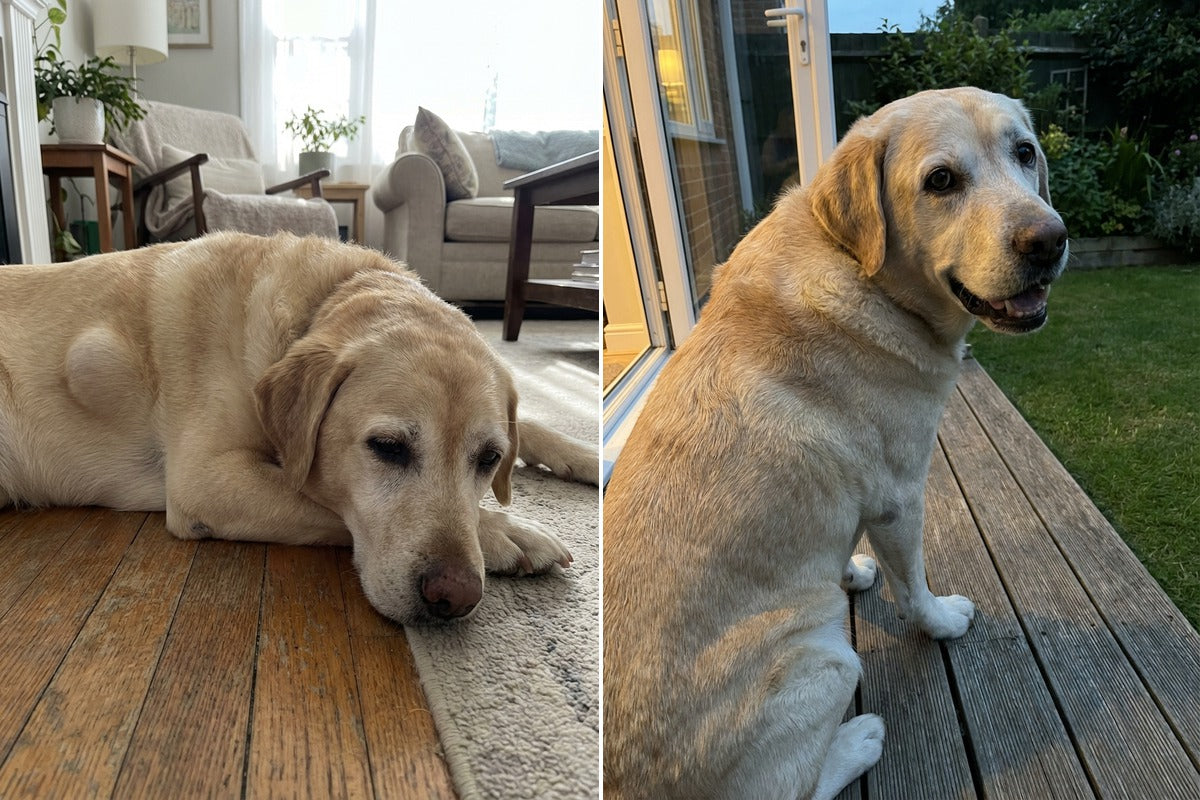 Charlie Before and After