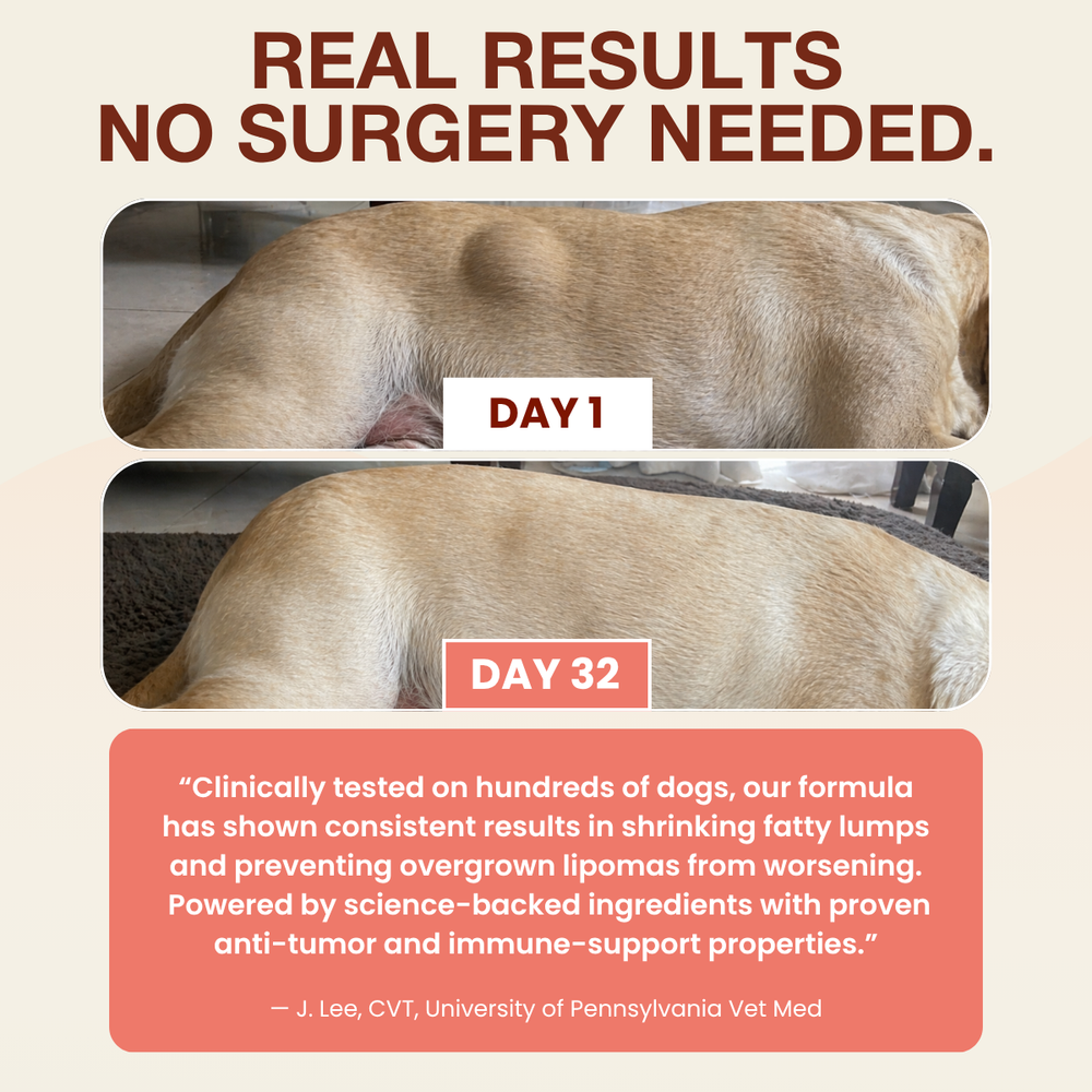 Clinical Testing